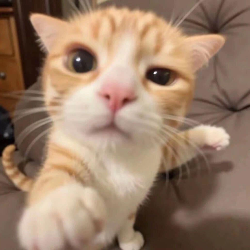 小小神（无畏契约）