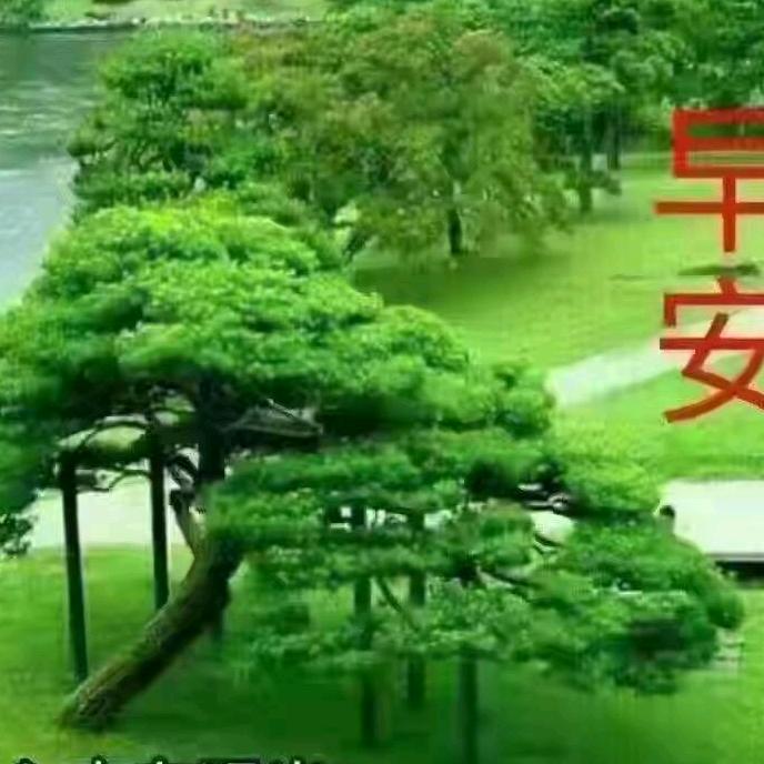 子吟