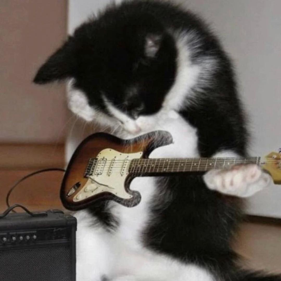 暗恋被猫嚼