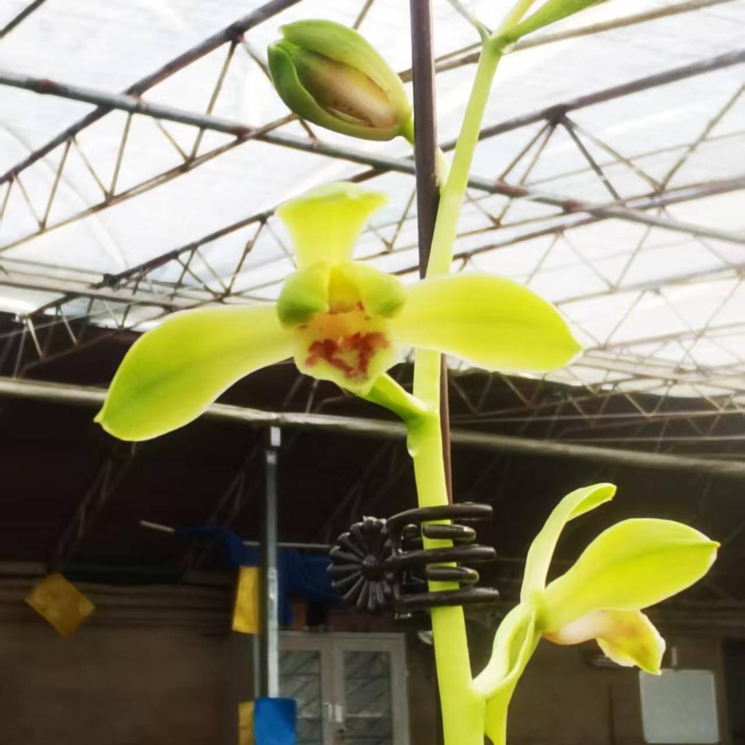 琢成兰舍（2号）