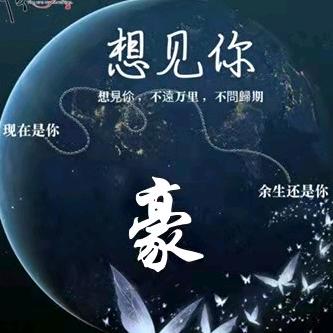 真的豪想你