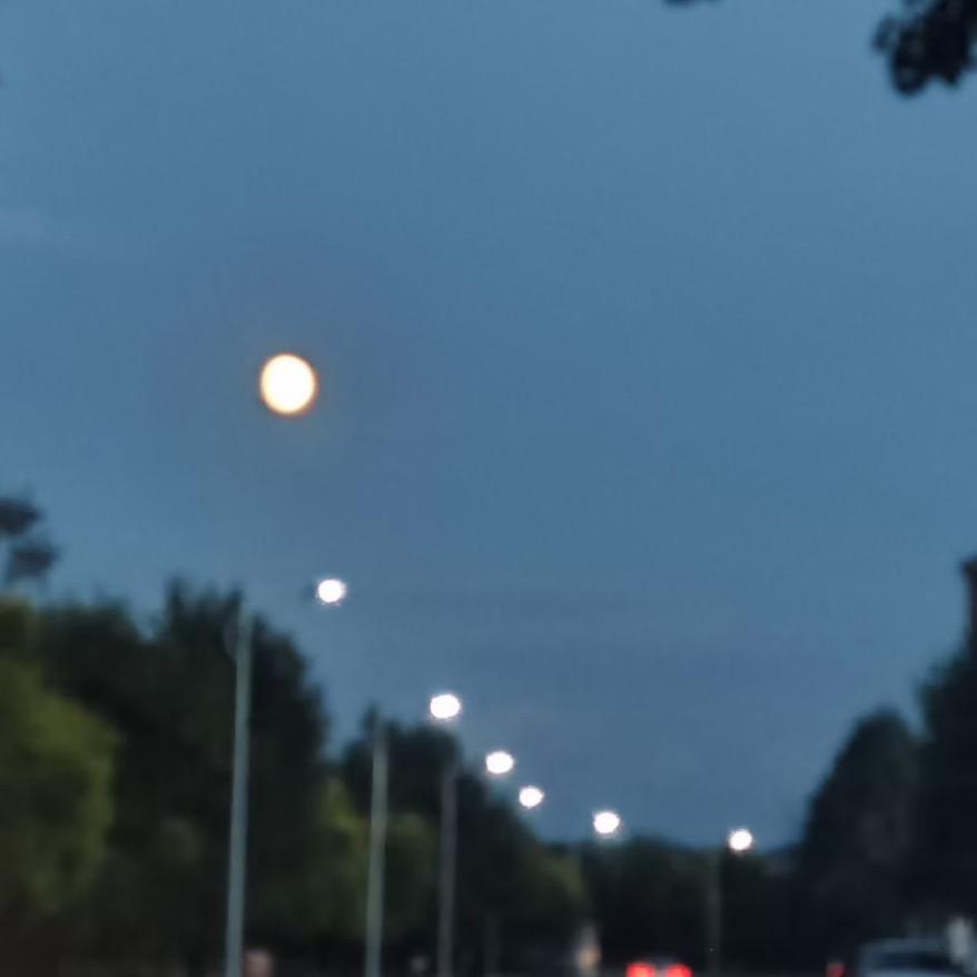 大车安全监督员🕵️