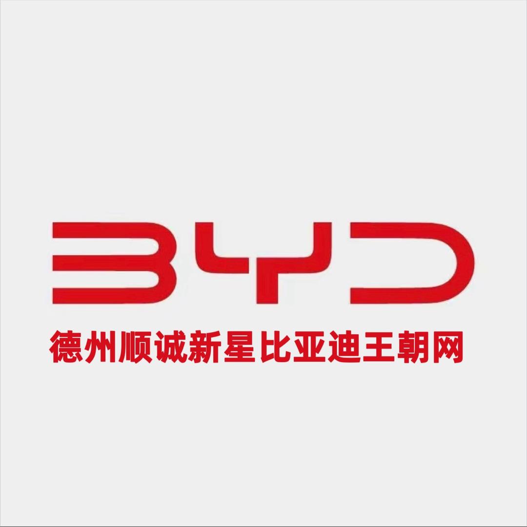 比亚迪王朝｜德州新星小雨