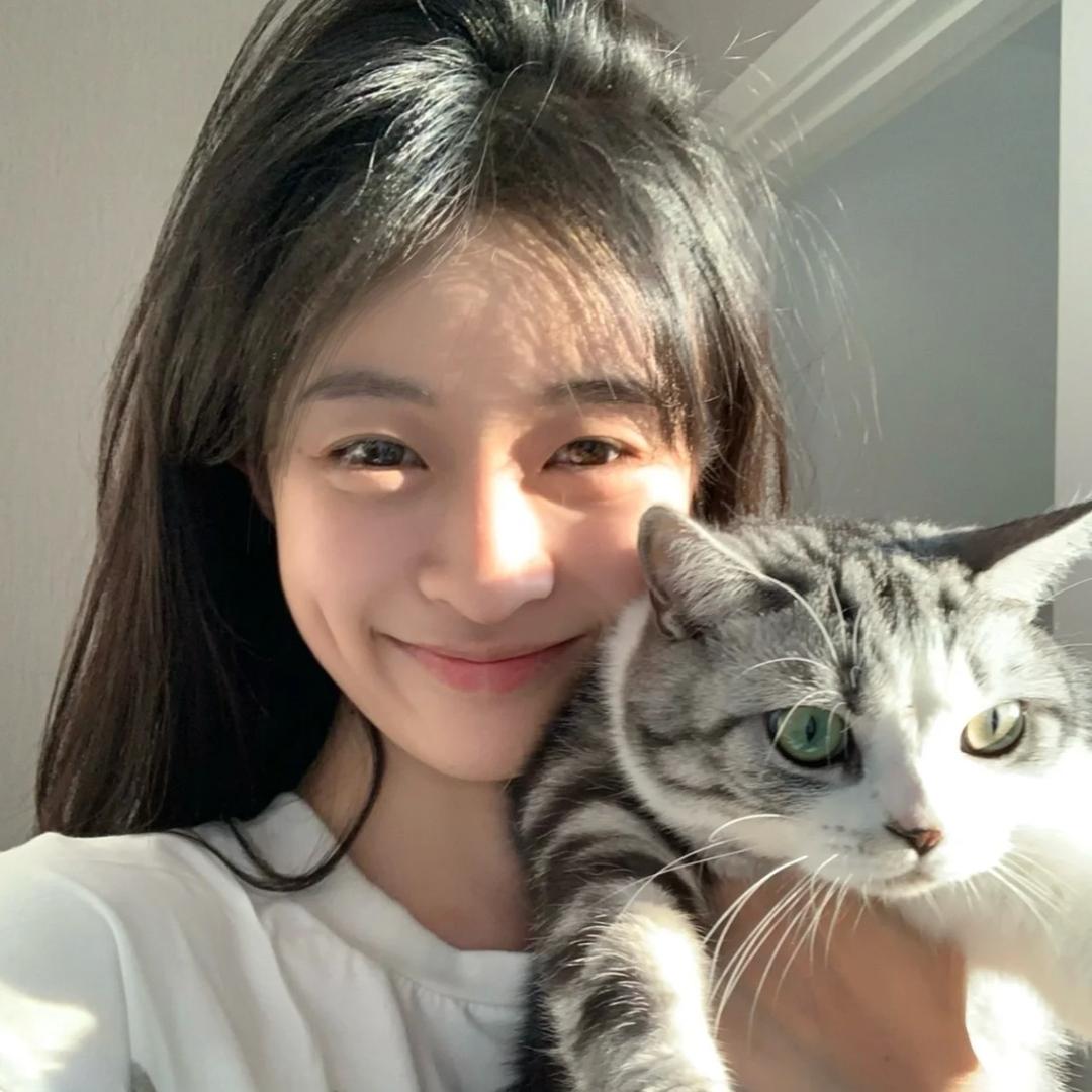 bb-handsome