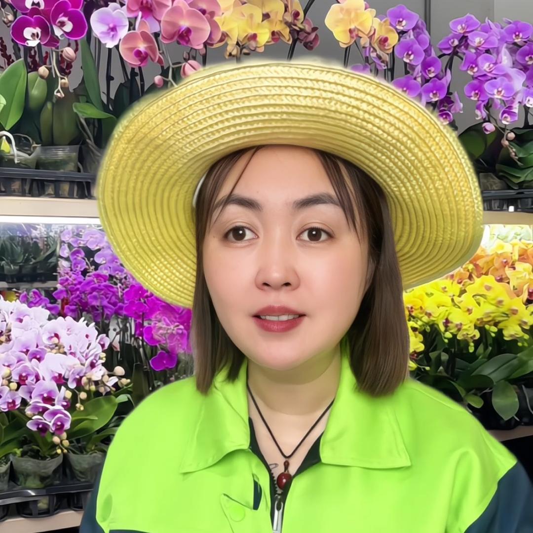 小金养花种菜