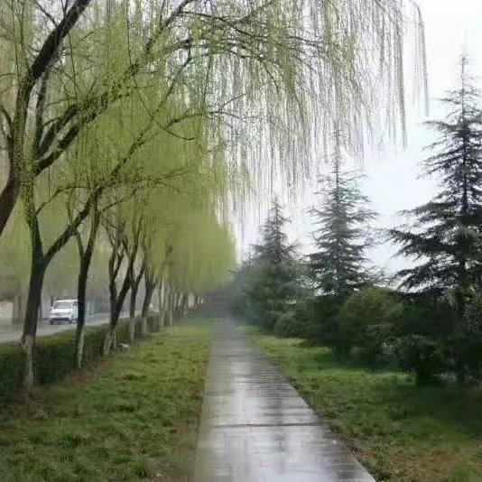 雨后有你