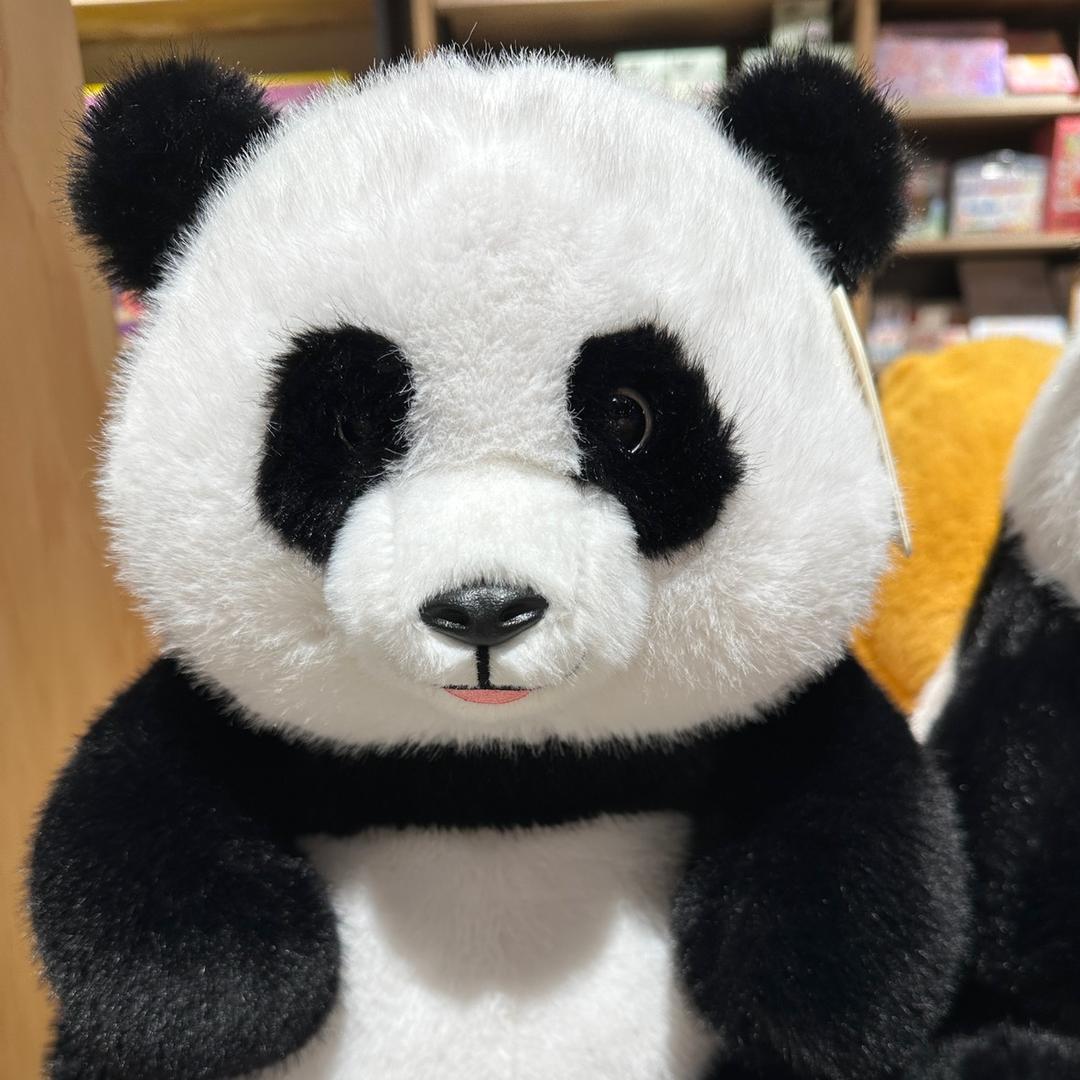 财运滚滚来