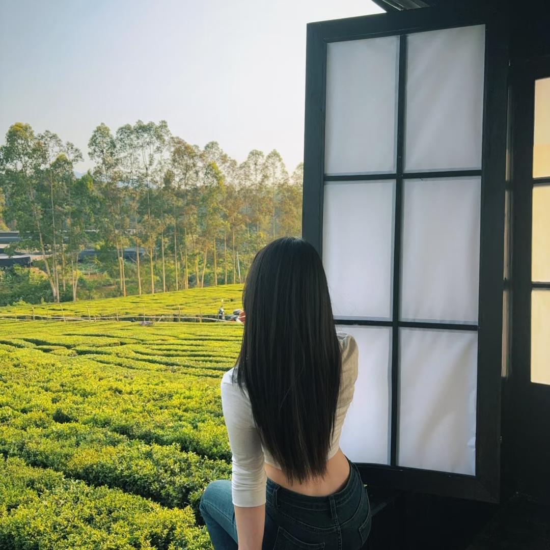 芒果🥭（4️⃣）
