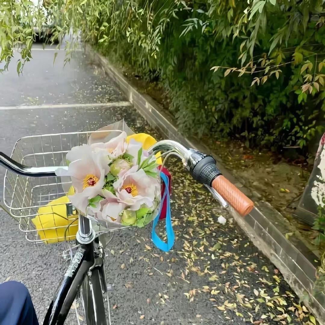 又菜又爱.