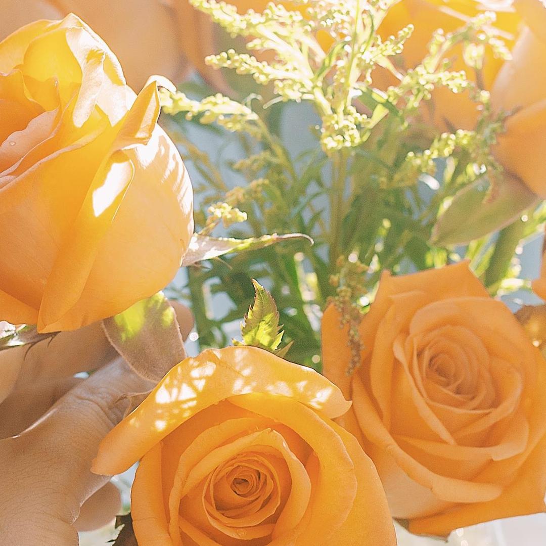 蔬麦布典花果树苗木专卖店