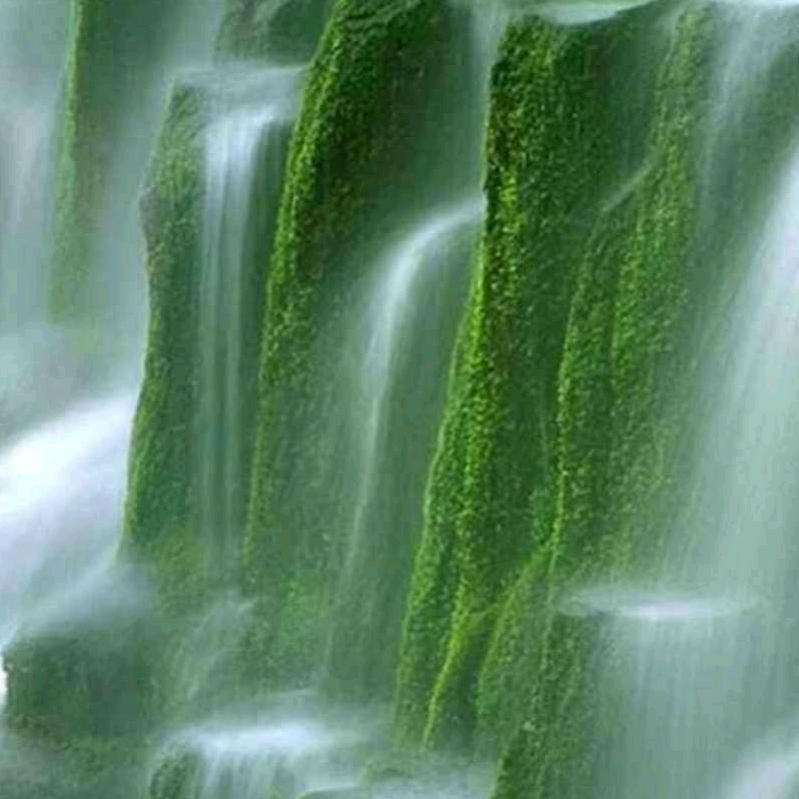 用户1592151336181红叶