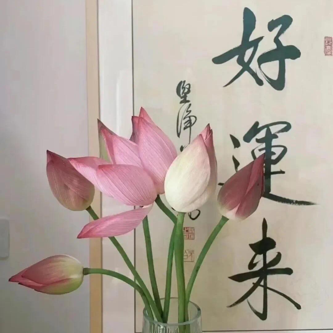 🌷🍄