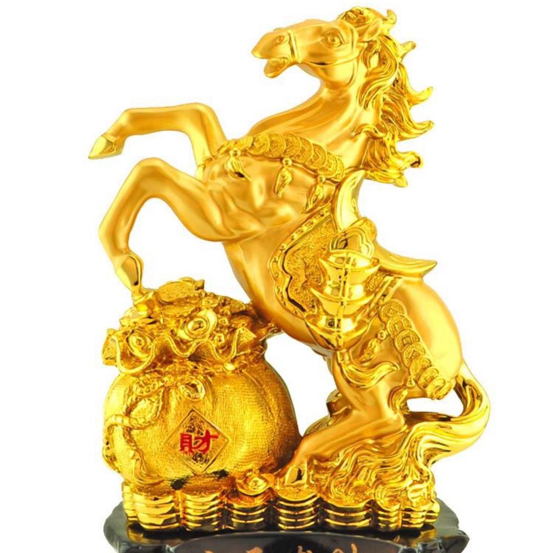师老师说马