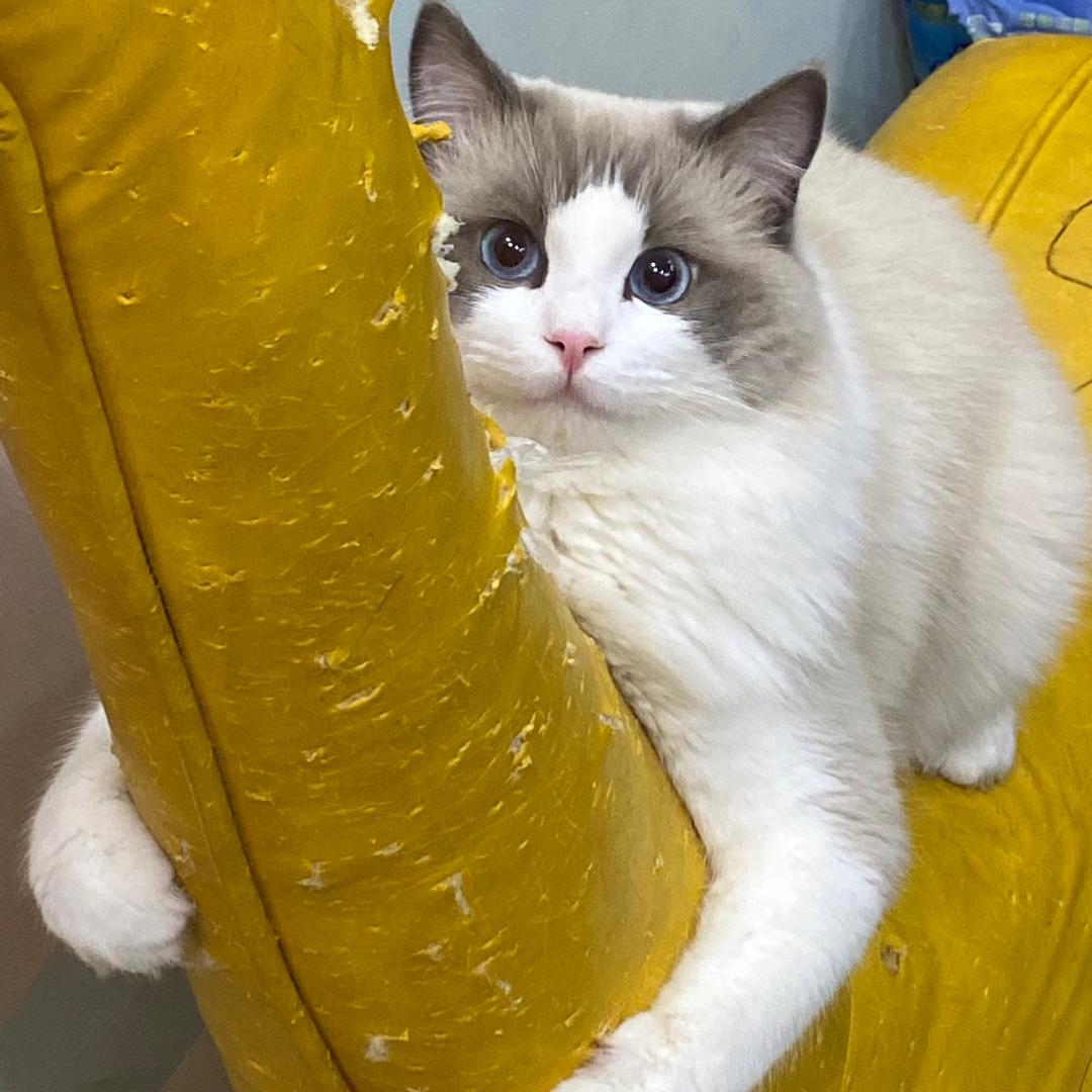 老奎山米线（兰山总代理）