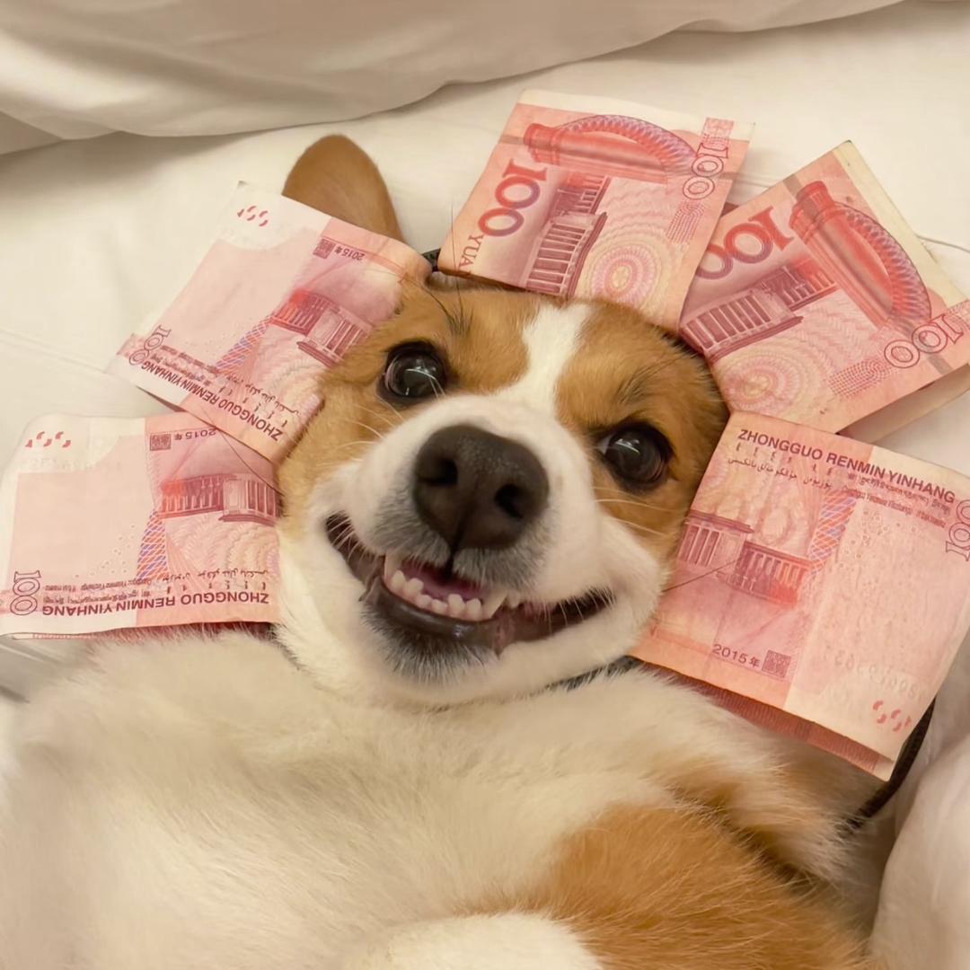 会爆汁的生煎包