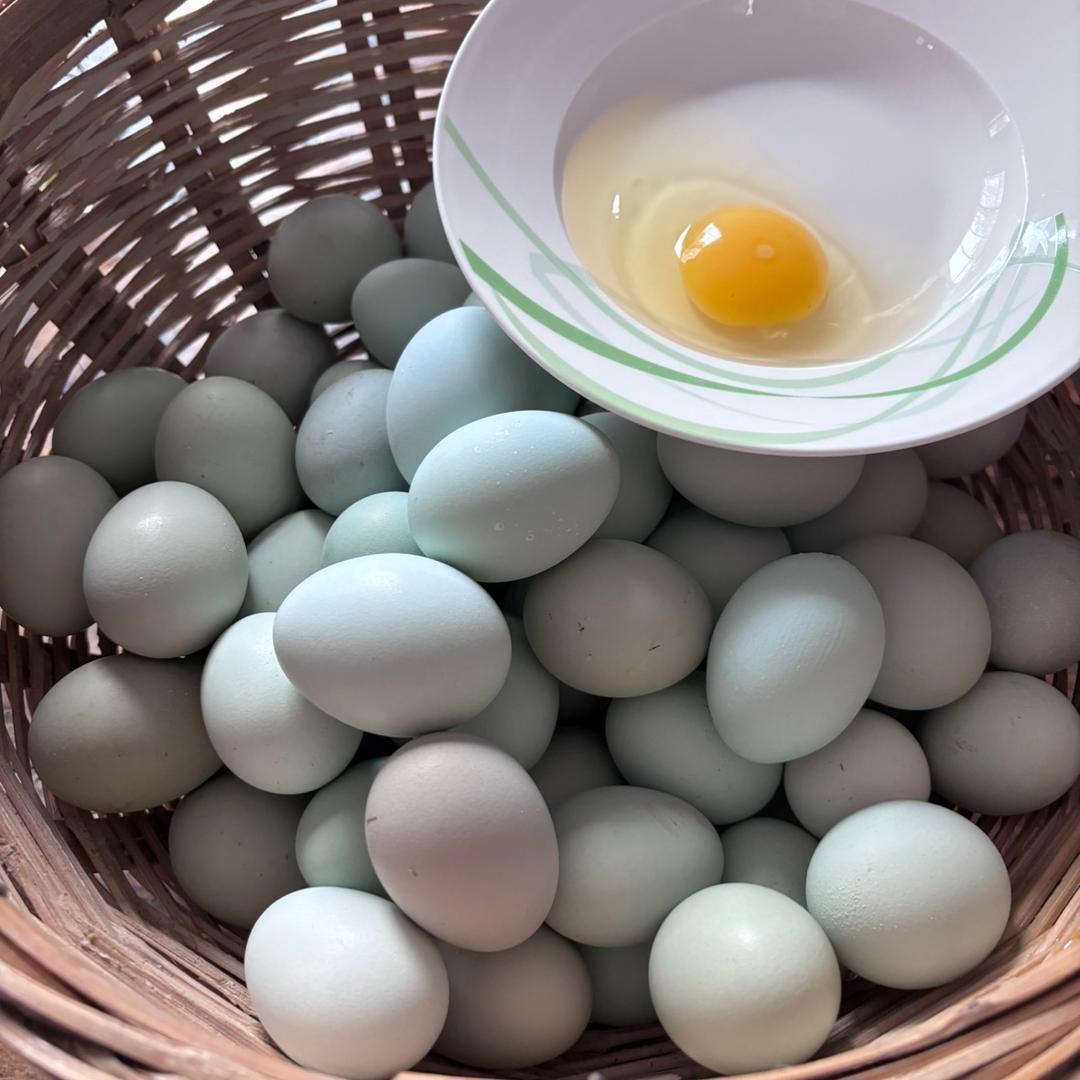 黑老二家庭农场