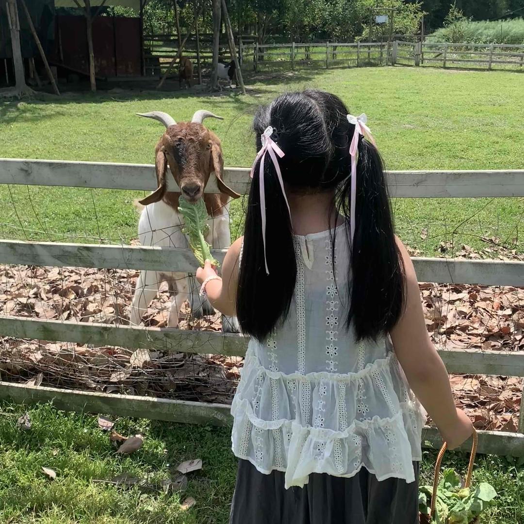 小小格