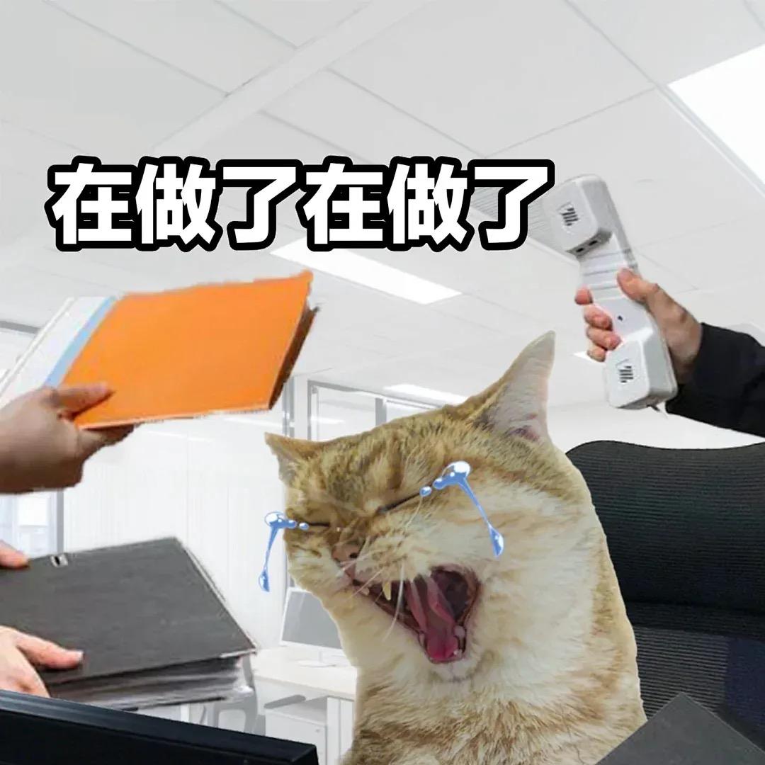 紫悦府-小策策（2.0工地加强版）