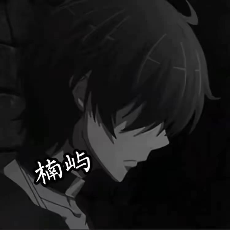 王者荣耀楠屿（信仰诸葛）