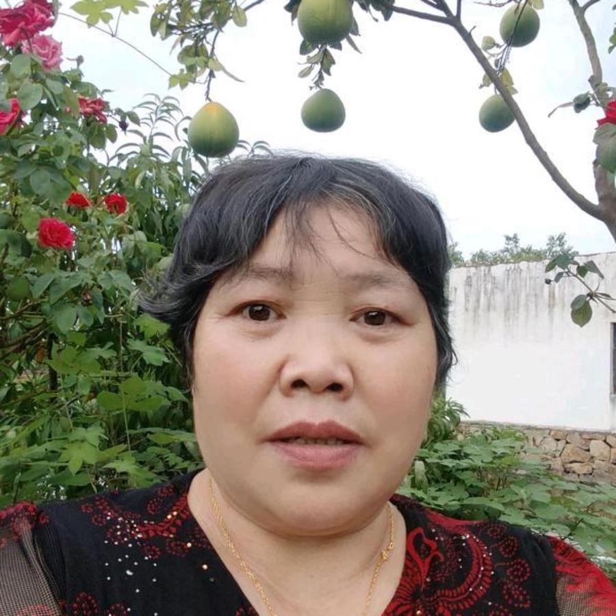 好大姐不定时开播