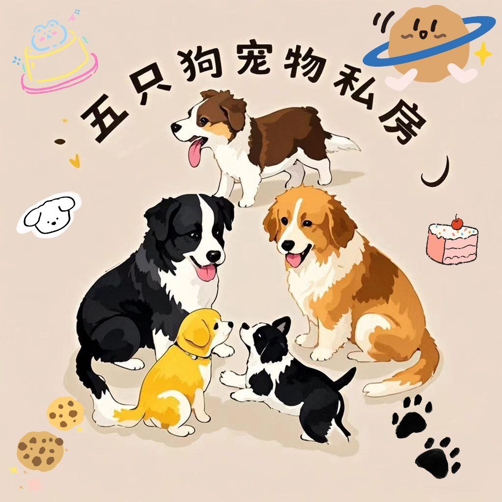 通辽宠物烘干零食—五只狗