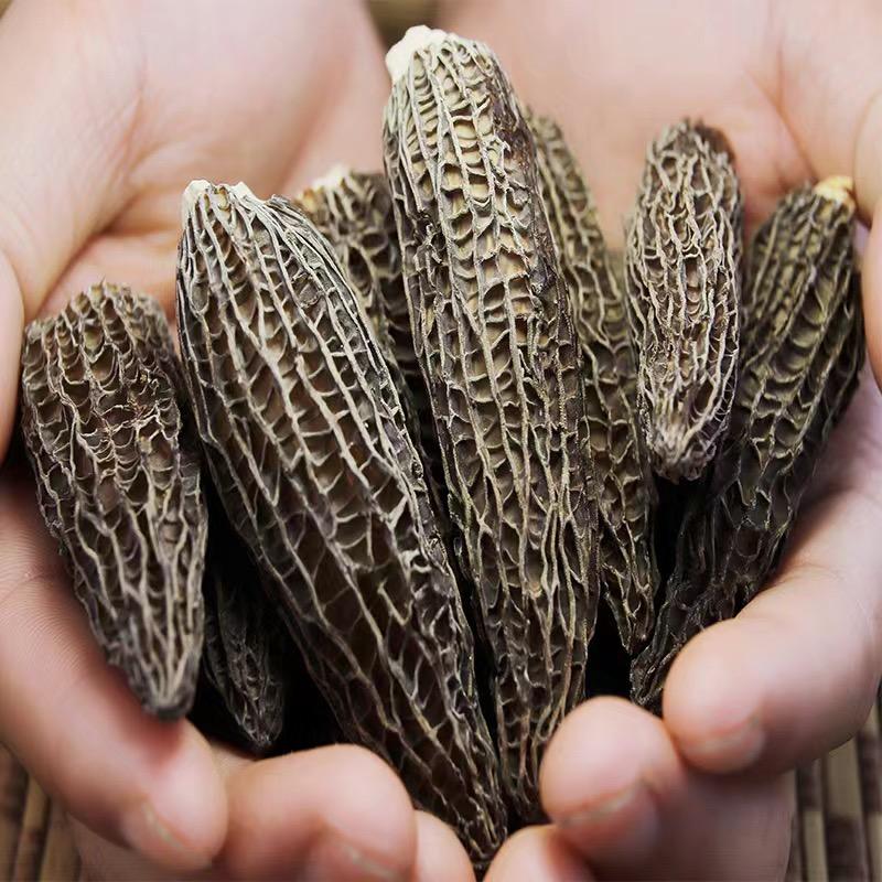 舞水之阳菌菇精选