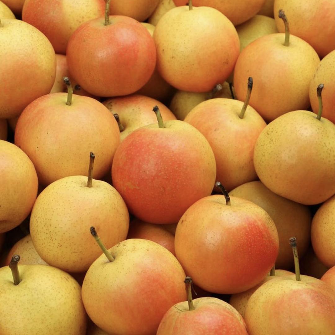 小宇精选南果梨