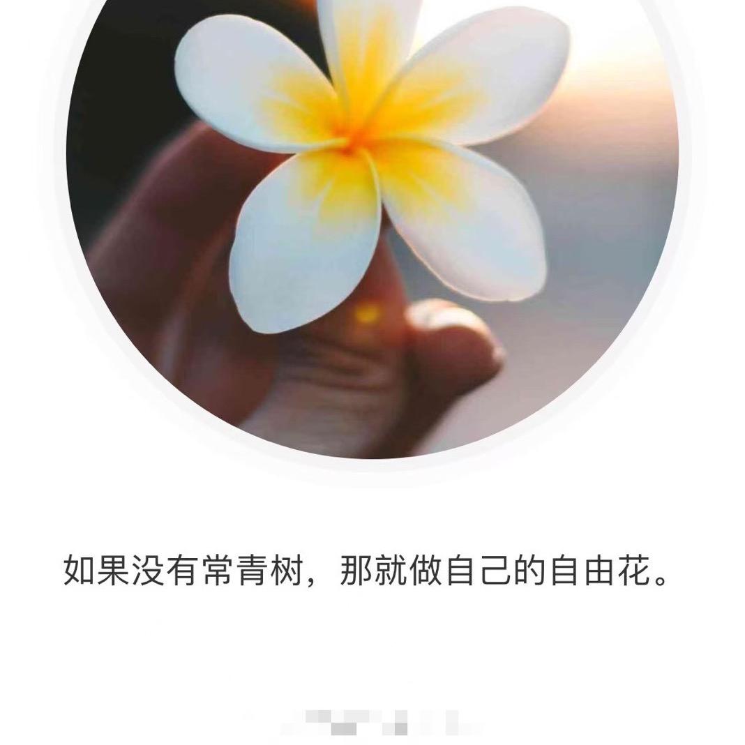 ☀️阳光