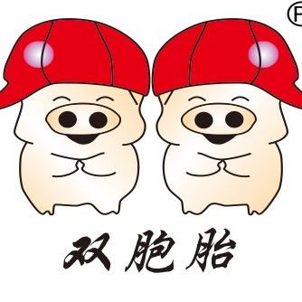 双胞胎川渝养猪公司HR