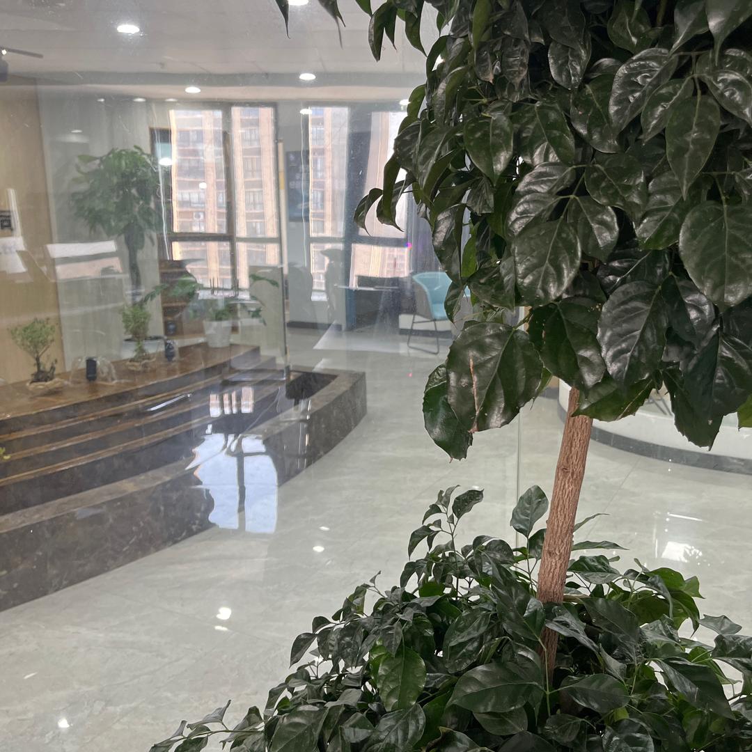 慧慧