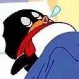 爱睡觉的企鹅💤