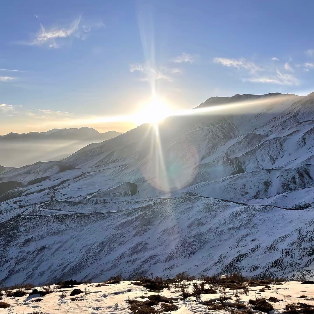 欧恋女装(新桥路店)勇闯123直播号