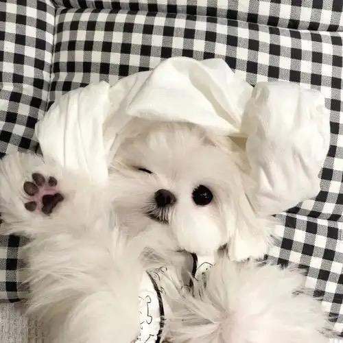 吃好睡好身体棒