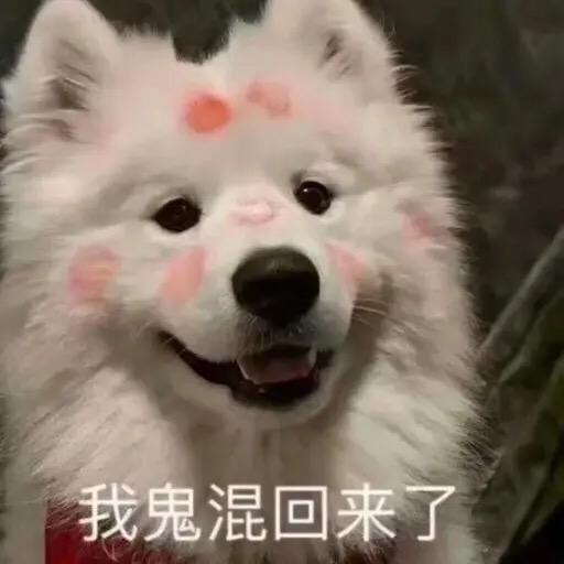 阿绿不绿绿