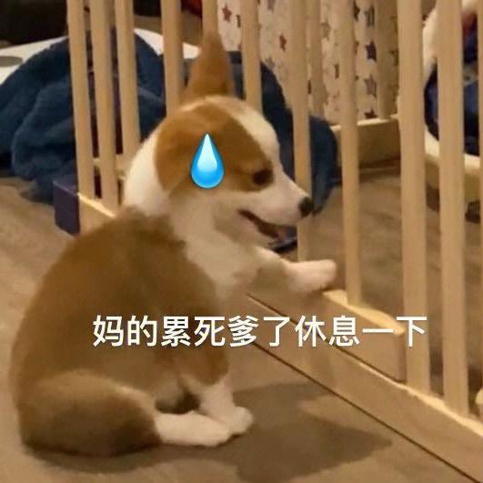 大暴雨