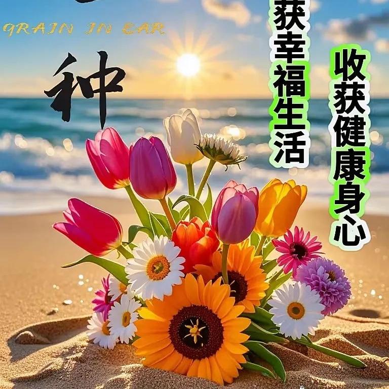 艺芯王
