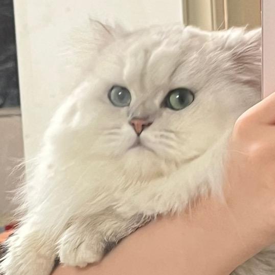 拼豆豆豆豆豆豆豆豆