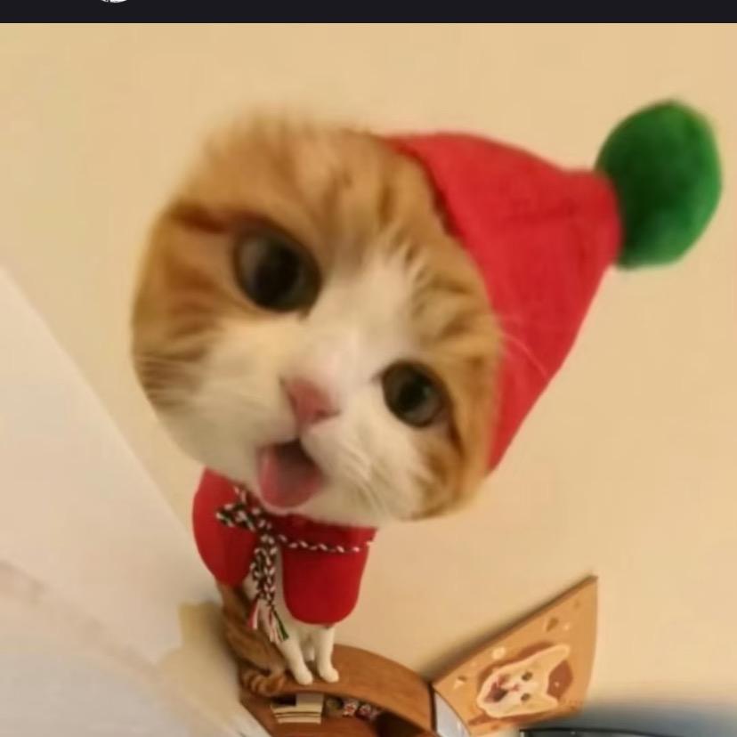 福豆是只臭虫