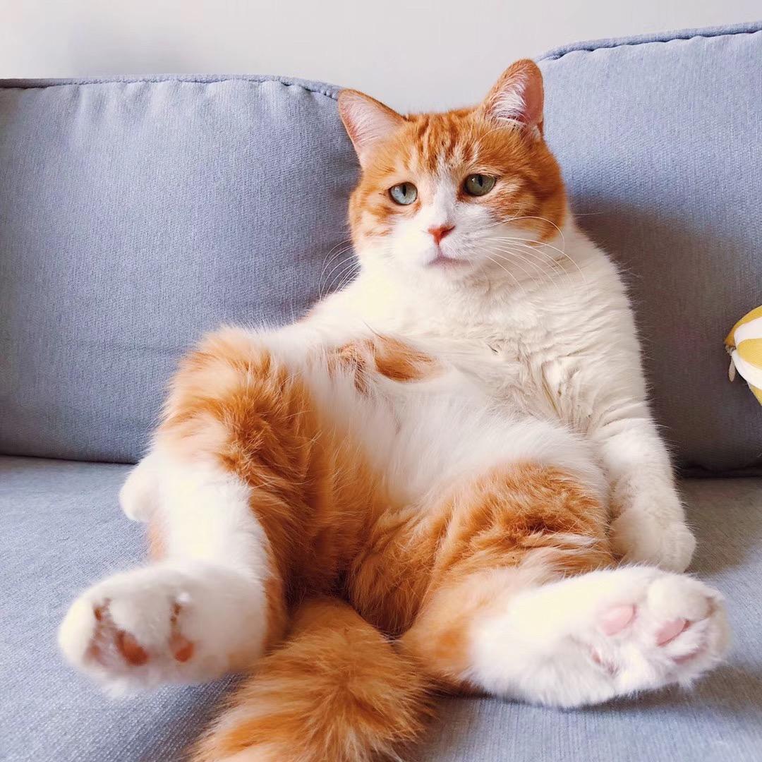 吃葡萄不吐葡萄皮🍇