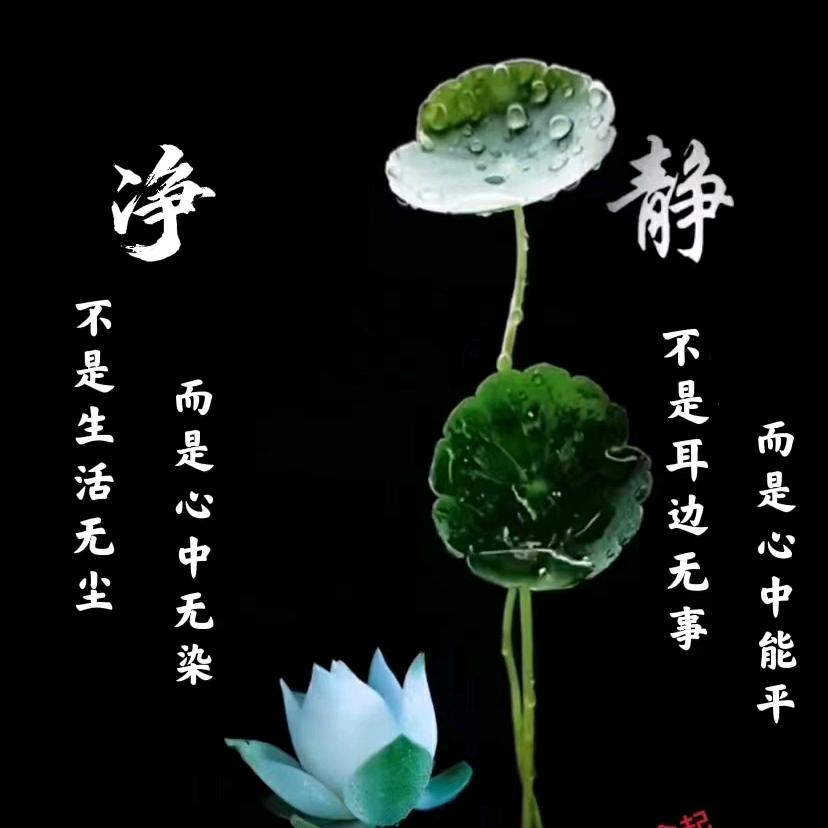 洛霖恩宇