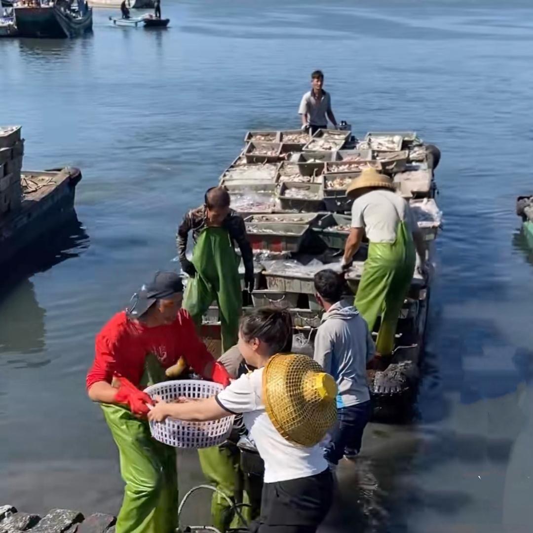 海上鲜个体
