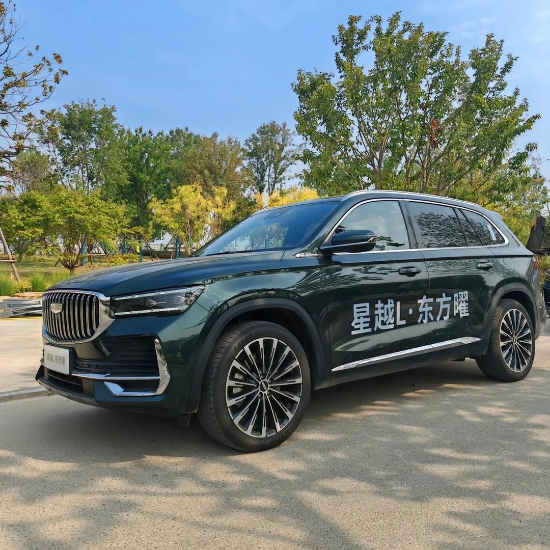 重生之我是卖吉利的