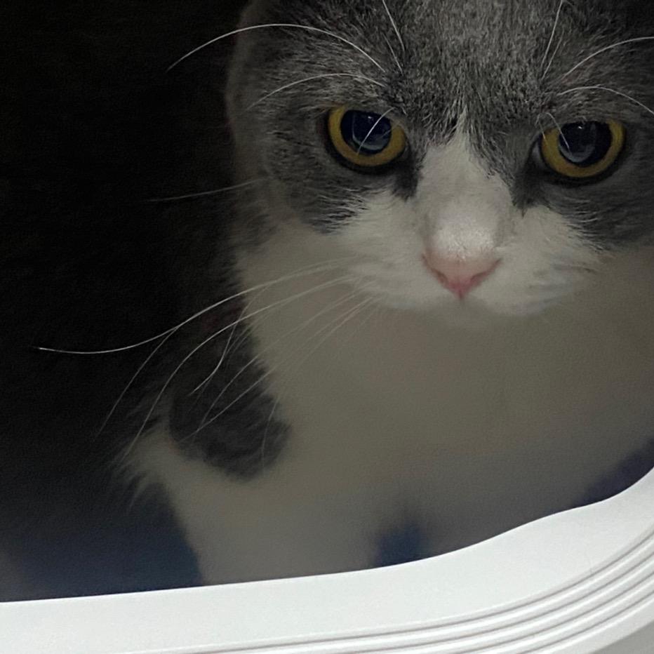 全国同城小时达