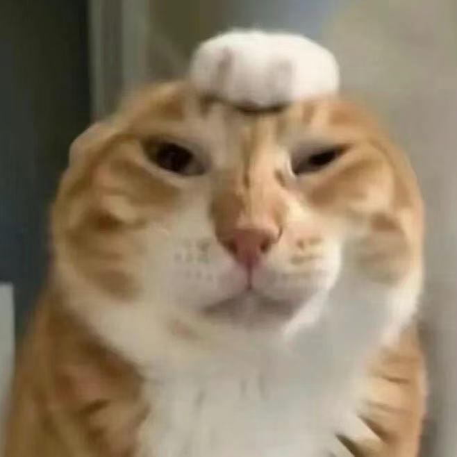 鸭梨