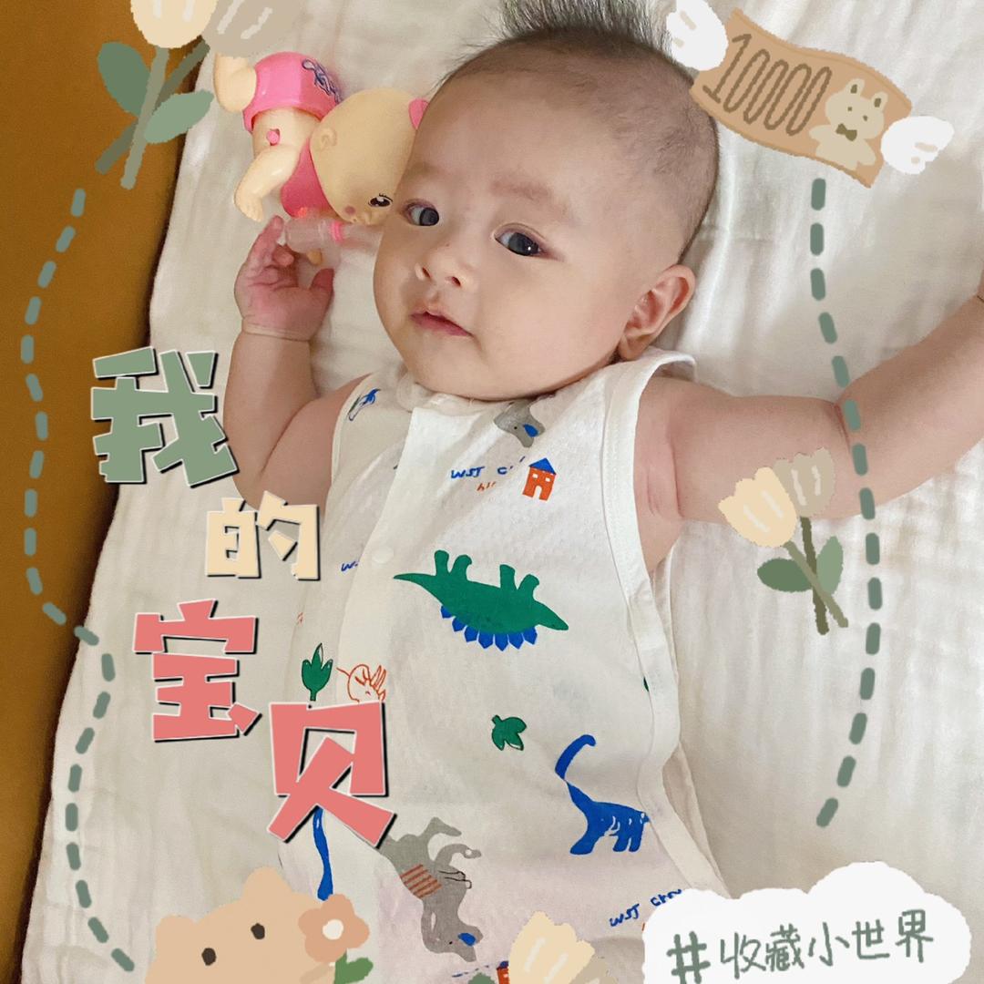 小巍巍🐯