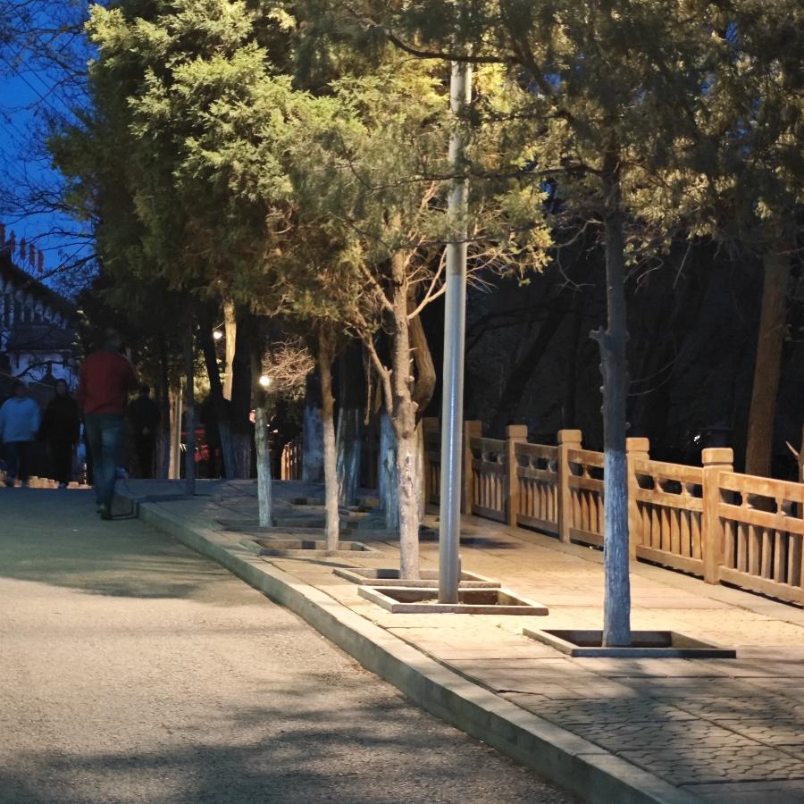 花折亦无情