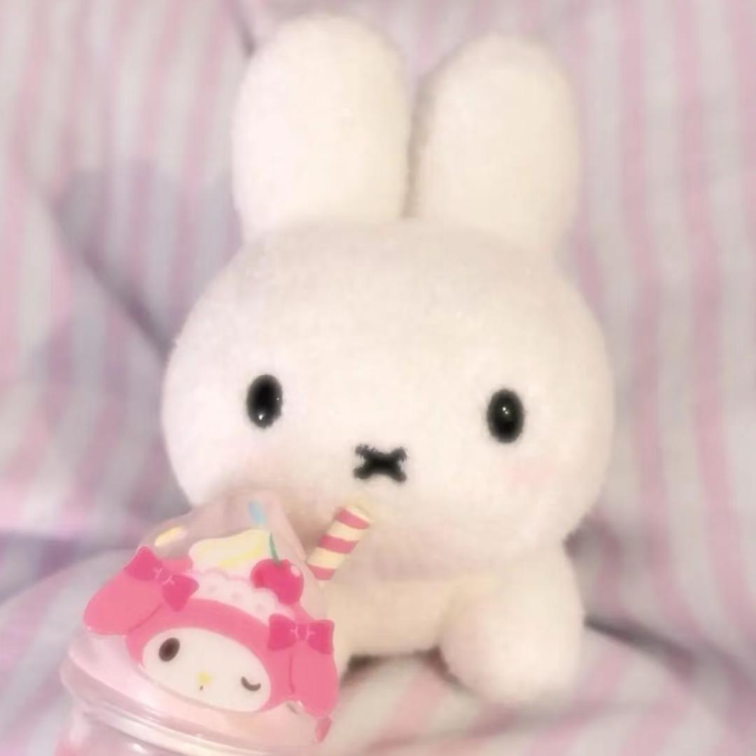 ꪔ̤̮达咩兔
