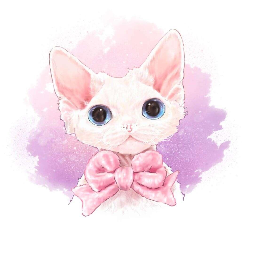 川K德文卷毛猫·凯蒂