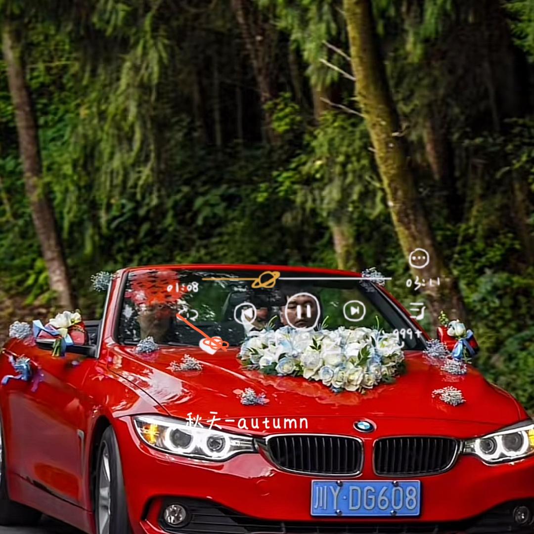 巴中帆恩婚车