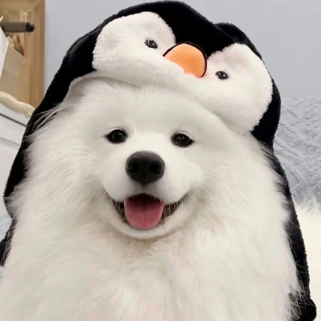 小雩小雩头像